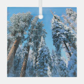 氷と雪 |セコイア国立公園,カリフォルニア ガラスオーナメント (正面)