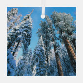 氷と雪 |セコイア国立公園,カリフォルニア ガラスオーナメント (裏面)