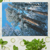 氷と雪 |セコイア国立公園,カリフォルニア キッチンタオル (折り畳み)