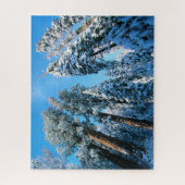 氷と雪 |セコイア国立公園,カリフォルニア ジグソーパズル (縦)