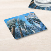 氷と雪 |セコイア国立公園，カリフォルニア スクエアペーパーコースター (アングル)