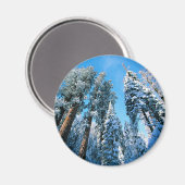 氷と雪 |セコイア国立公園，カリフォルニア マグネット (正面/裏面)