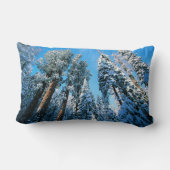 氷と雪 |セコイア国立公園，カリフォルニア ランバークッション (裏面)