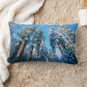 氷と雪 |セコイア国立公園，カリフォルニア ランバークッション (ブランケット)