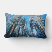氷と雪 |セコイア国立公園，カリフォルニア ランバークッション (正面)