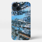 氷と雪 |セコイア国立公園，カリフォルニア iPhoneケース (裏面)