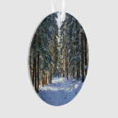 氷と雪 |タトラ山脈，ポーランド オーナメント (正面)