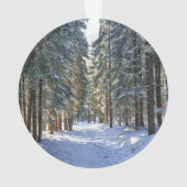 氷と雪 |タトラ山脈，ポーランド オーナメント (裏面)