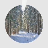 氷と雪 |タトラ山脈，ポーランド オーナメント (正面)