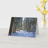 氷と雪 |タトラ山脈,ポーランド カード (黄色い花)