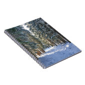 氷と雪 |タトラ山脈,ポーランド ノートブック (右側)