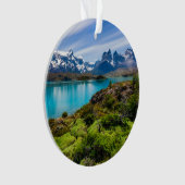 氷と雪 |チリ，パタゴニア，ペホ湖 オーナメント (正面)