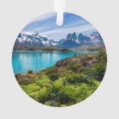 氷と雪 |チリ，パタゴニア，ペホ湖 オーナメント (裏面)