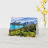 氷と雪 |チリ，パタゴニア，ペホ湖 カード (黄色い花)