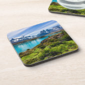 氷と雪 |チリ，パタゴニア，ペホ湖 コースター (左側)