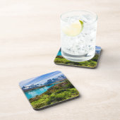 氷と雪 |チリ，パタゴニア，ペホ湖 コースター (右側)