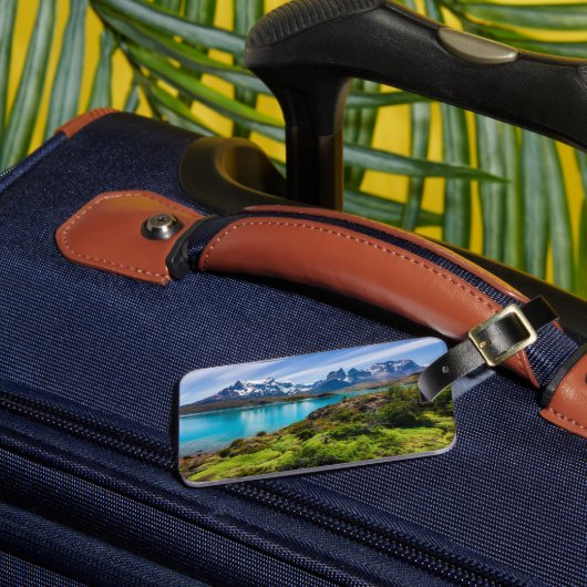 氷と雪 |チリ，パタゴニア，ペホ湖 ラゲッジタグ (正面インサイチュ3)