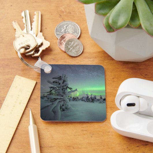 氷と雪 |パラス・イルラスタントゥリ国立公園 キーホルダー (デスク)