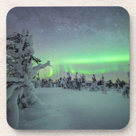 氷と雪 |パラス・イルラスタントゥリ国立公園 コースター (正面)