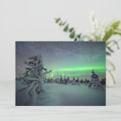 氷と雪 |パラス・イルラスタントゥリ国立公園 サンキューカード (スタンド正面)