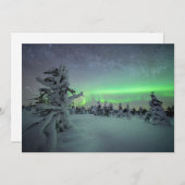 氷と雪 |パラス・イルラスタントゥリ国立公園 サンキューカード (正面/裏面)