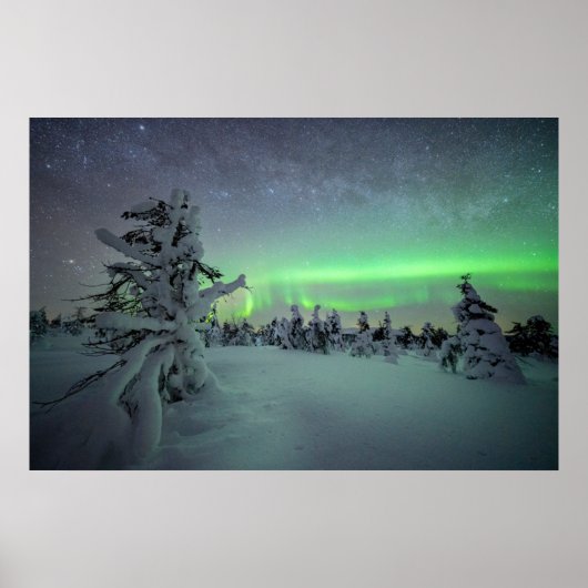 氷と雪 |パラス・イルラスタントゥリ国立公園 ポスター (正面)