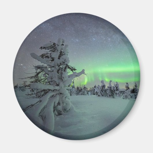 氷と雪 |パラス・イルラスタントゥリ国立公園 マグネット (正面)