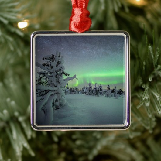 氷と雪 |パラス・イルラスタントゥリ国立公園 メタルオーナメント (ツリー)