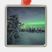 氷と雪 |パラス・イルラスタントゥリ国立公園 メタルオーナメント (正面)