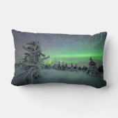 氷と雪 |パラス・イルラスタントゥリ国立公園 ランバークッション (裏面)