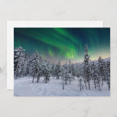 氷と雪 |フィンランド、冬の風景 サンキューカード (正面/裏面)