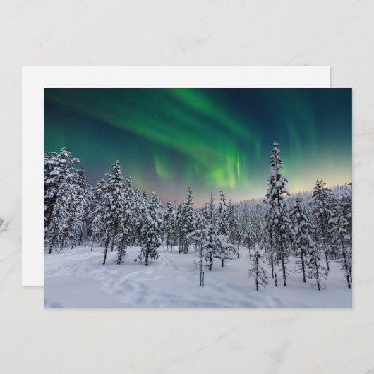 氷と雪 |フィンランド、冬の風景 サンキューカード (正面/裏面)