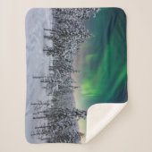 氷と雪 |フィンランド、冬の風景 シェルパブランケット (正面)