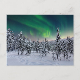 氷と雪 フィンランド、冬の風景 ポストカード
