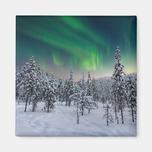 氷と雪 |フィンランド、冬の風景 マグネット (正面)