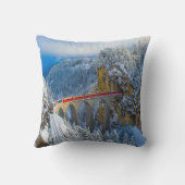 氷と雪 |ベルニ表現ナ(スイス) クッション (裏面)