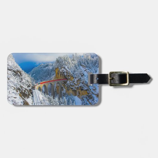 氷と雪 |ベルニ表現ナ（スイス） ラゲッジタグ (正面横)