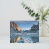 氷と雪 |ヨセミテ渓谷の氷 ポストカード (スタンド正面)