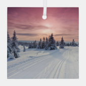 氷と雪 |リレハンメル（ノルウェー） ガラスオーナメント (裏面)