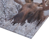 氷と雪 |ワイオミング州グランドテトン国立公園 カッティングボード (角)