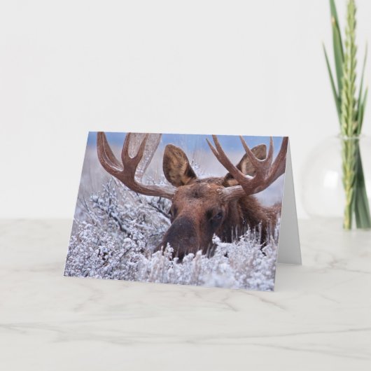 氷と雪 |ワイオミング州グランドテトン国立公園 カード (正面)