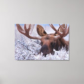 氷と雪 |ワイオミング州グランドテトン国立公園 キャンバスプリント (正面)