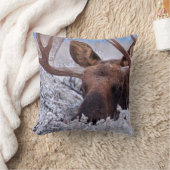 氷と雪 |ワイオミング州グランドテトン国立公園 クッション (ブランケット)