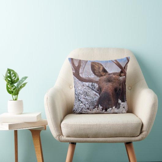 氷と雪 |ワイオミング州グランドテトン国立公園 クッション (椅子)