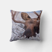 氷と雪 |ワイオミング州グランドテトン国立公園 クッション (裏面)