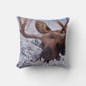 氷と雪 |ワイオミング州グランドテトン国立公園 クッション (正面)