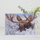 氷と雪 |ワイオミング州グランドテトン国立公園 サンキューカード (スタンド正面)