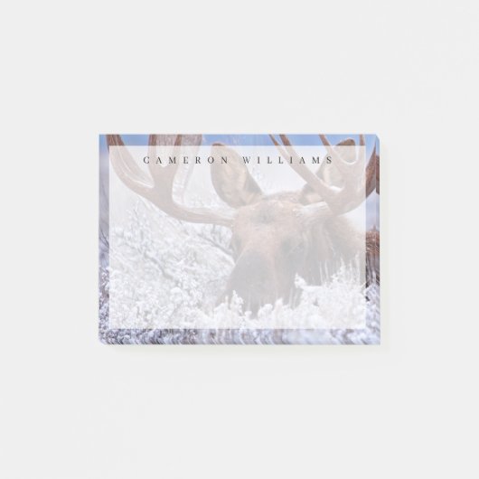 氷と雪 |ワイオミング州グランドテトン国立公園 ポストイット (正面)