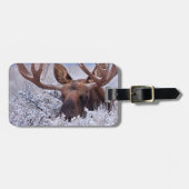 氷と雪 |ワイオミング州グランドテトン国立公園 ラゲッジタグ (正面横)