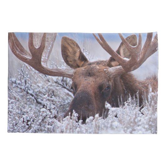 氷と雪 |ワイオミング州グランドテトン国立公園 枕カバー (裏面)